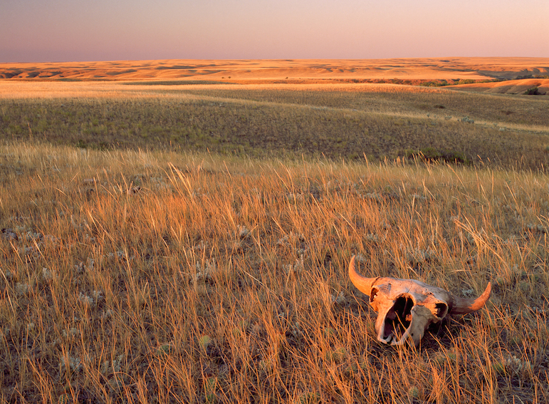 Eastern Montana