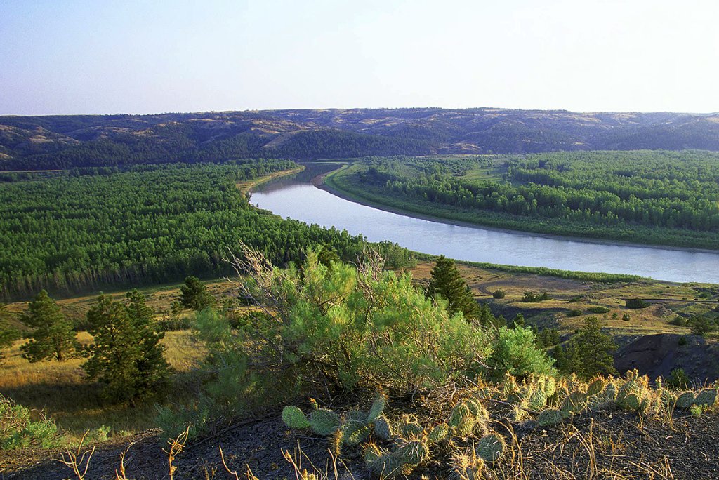 Northeast Montana