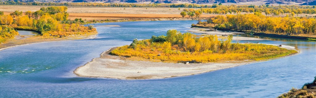 Yellowstone River Bottomland