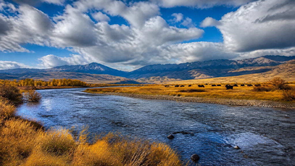 Montana river valley with mountains
