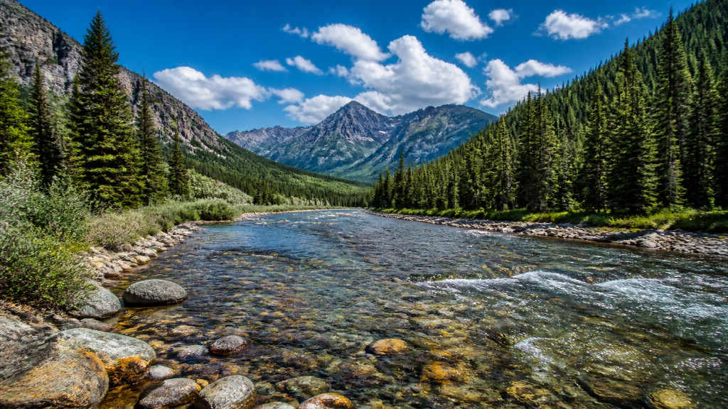 Clear mountain river flowing through evergreen forest and rocky valley