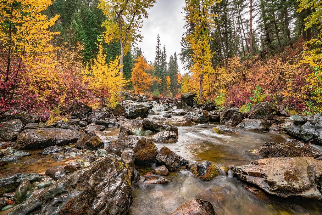 Fall