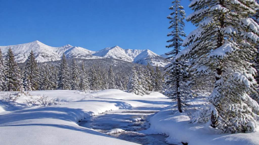 Montana winter mountain landscape
