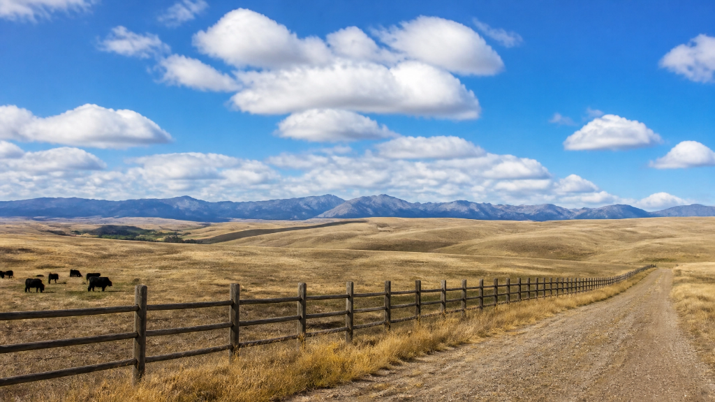 Montana wide open prairie with fence and mountains