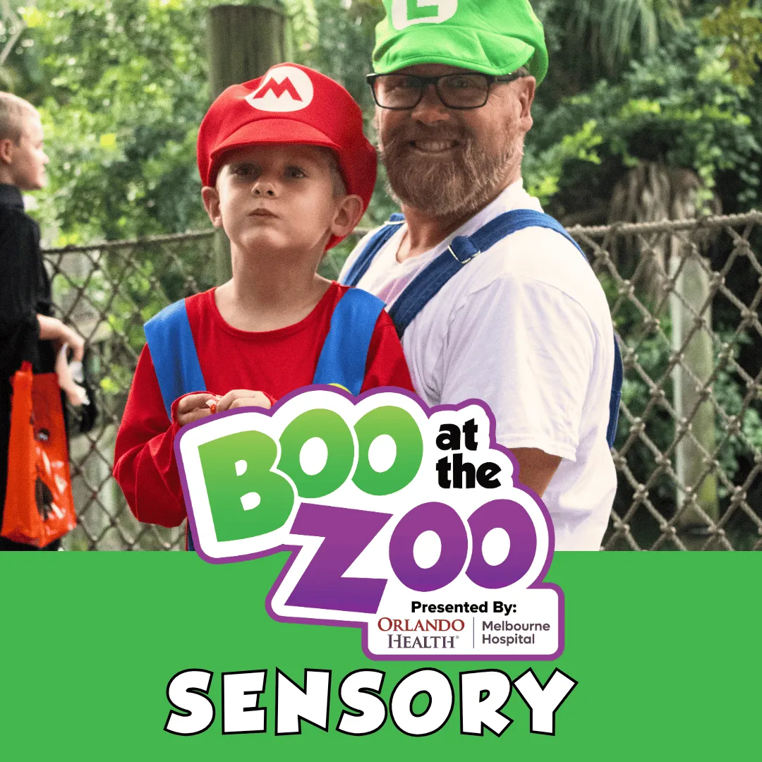 Boo at the Zoo SENSORY