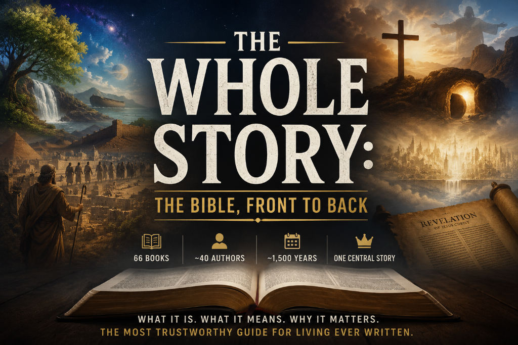 The Whole Story: The Bible, Front to Back