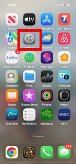 Open iPhone Settings