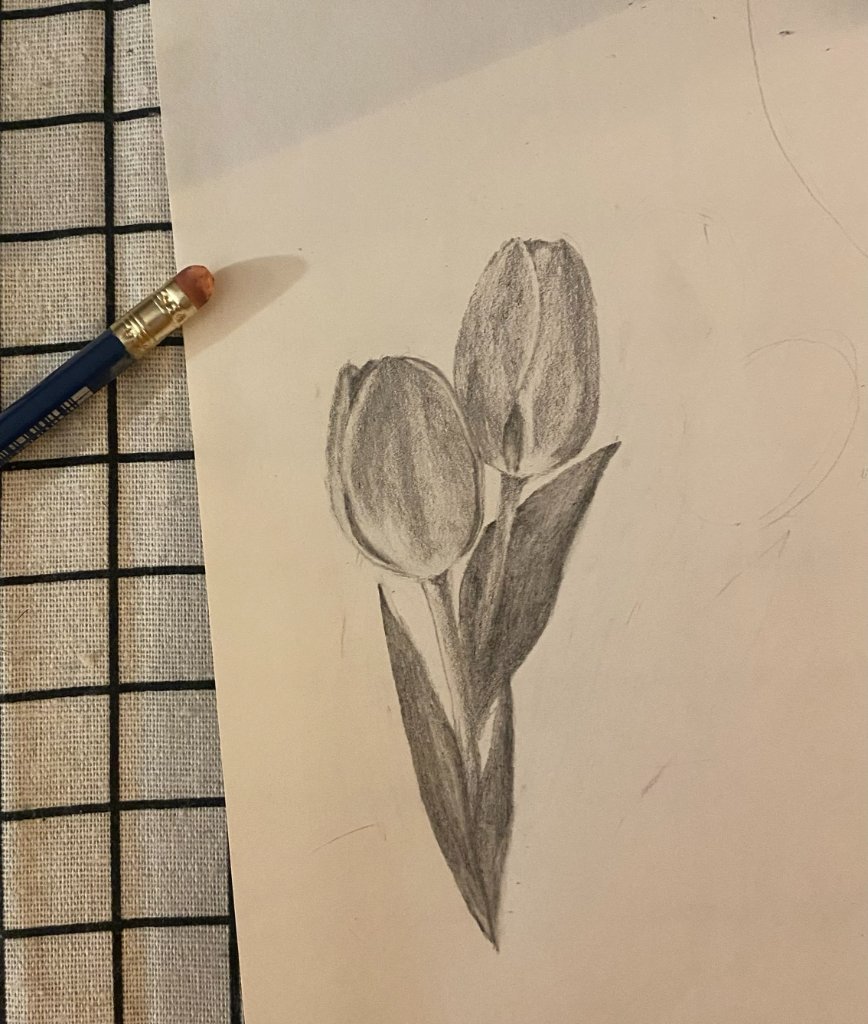 Tulips