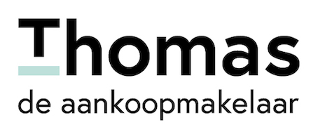 Thomas website template preview