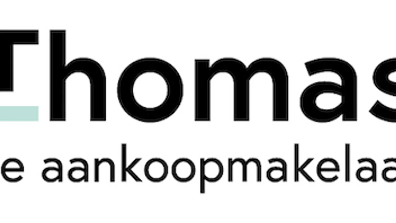 Thomas website template preview
