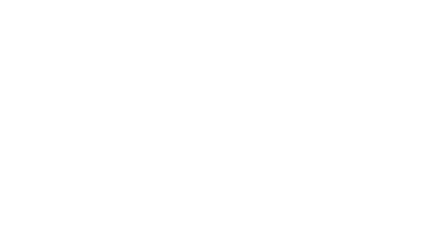 Insight Partners