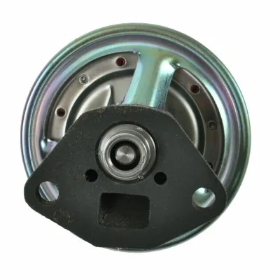 Válvula de recirculación de gases de escape EGR Chevrolet Blazer