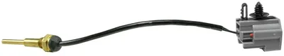 Sensor de temperatura ECT/CTS