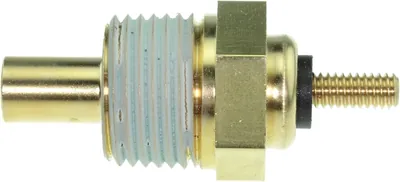 Sensor de temperatura ECT/CTS