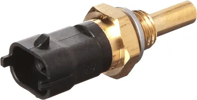 Sensor de temperatura ECT/CTS