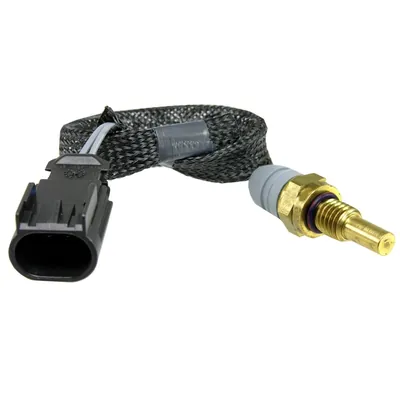 Sensor de temperatura ECT/CTS