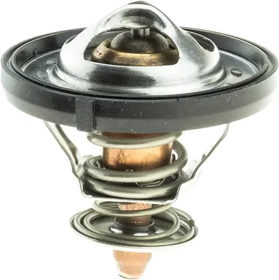 Termostato radiador