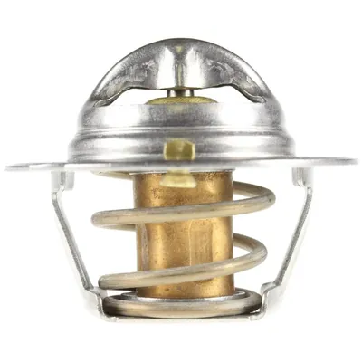 Termostato radiador