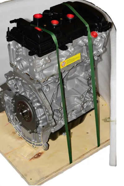 Motor Ford EcoSport 2018/2021