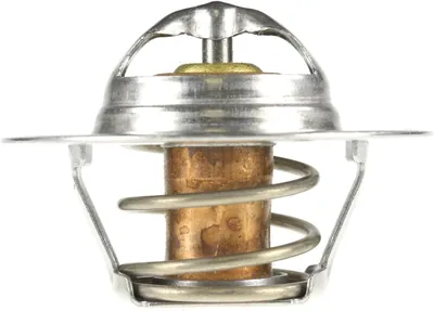 Termostato radiador