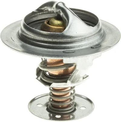 Termostato radiador Ford C-MAX