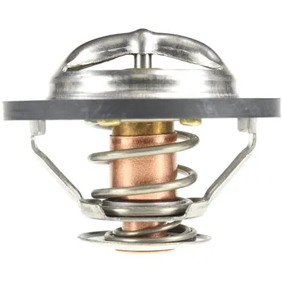 Termostato radiador