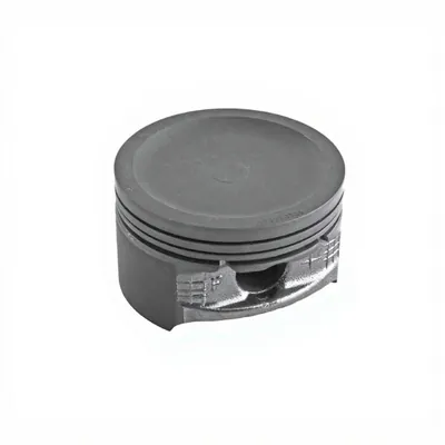 0629-295