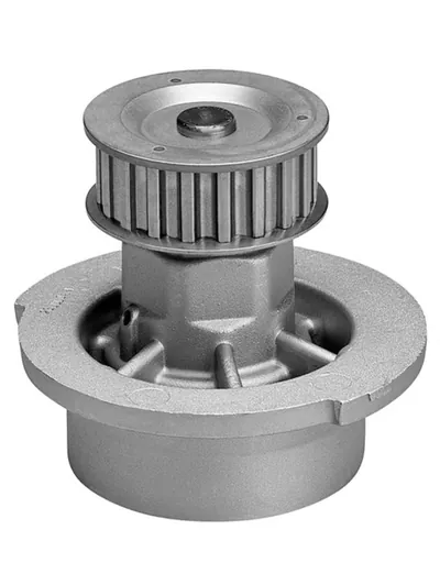 Bomba de agua motor
