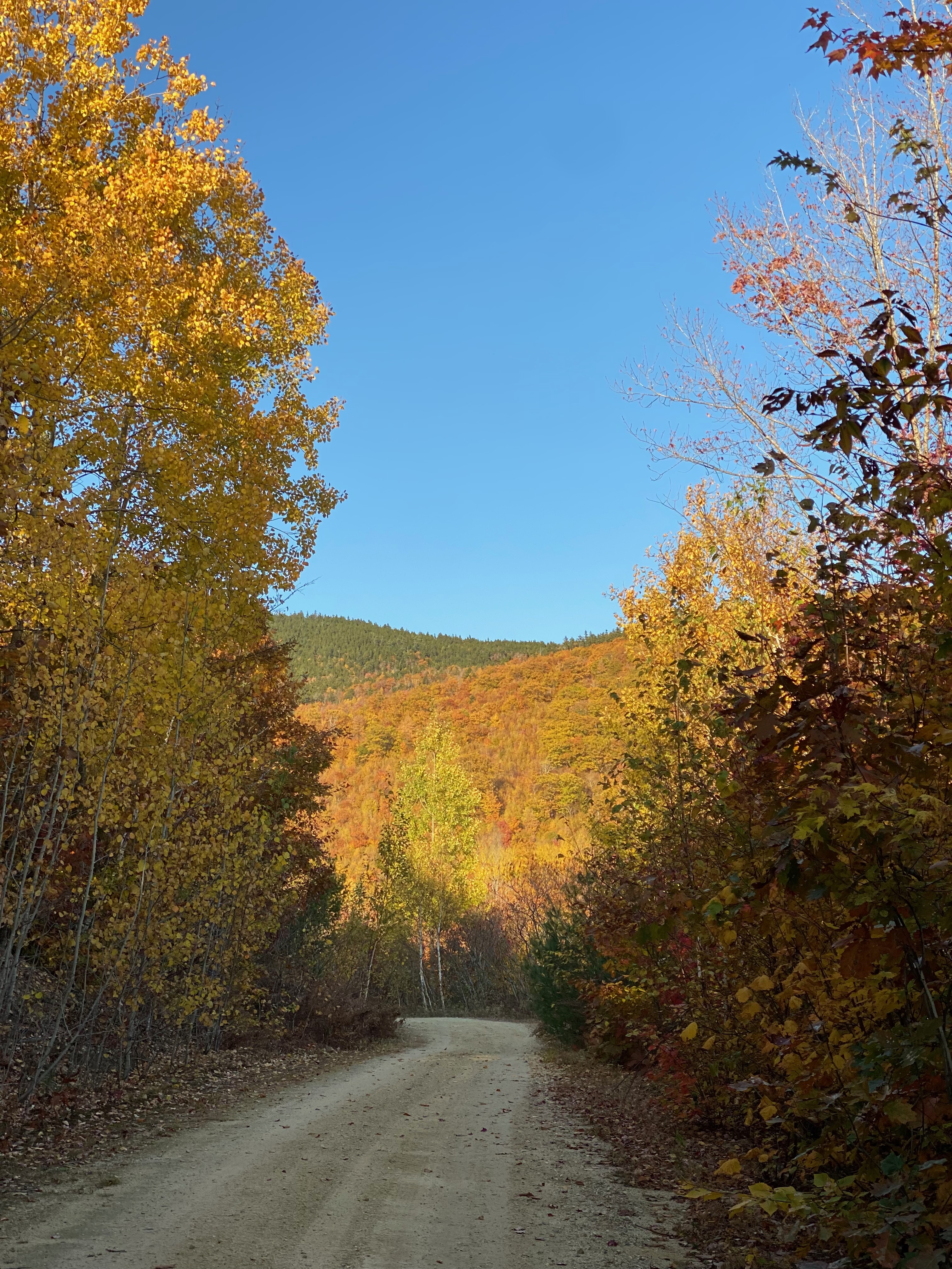 Hunting the Northeast Pre-Rut