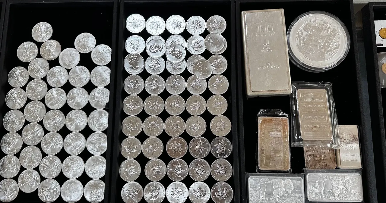 Silver coins and bullion collection in velvet-lined trays
