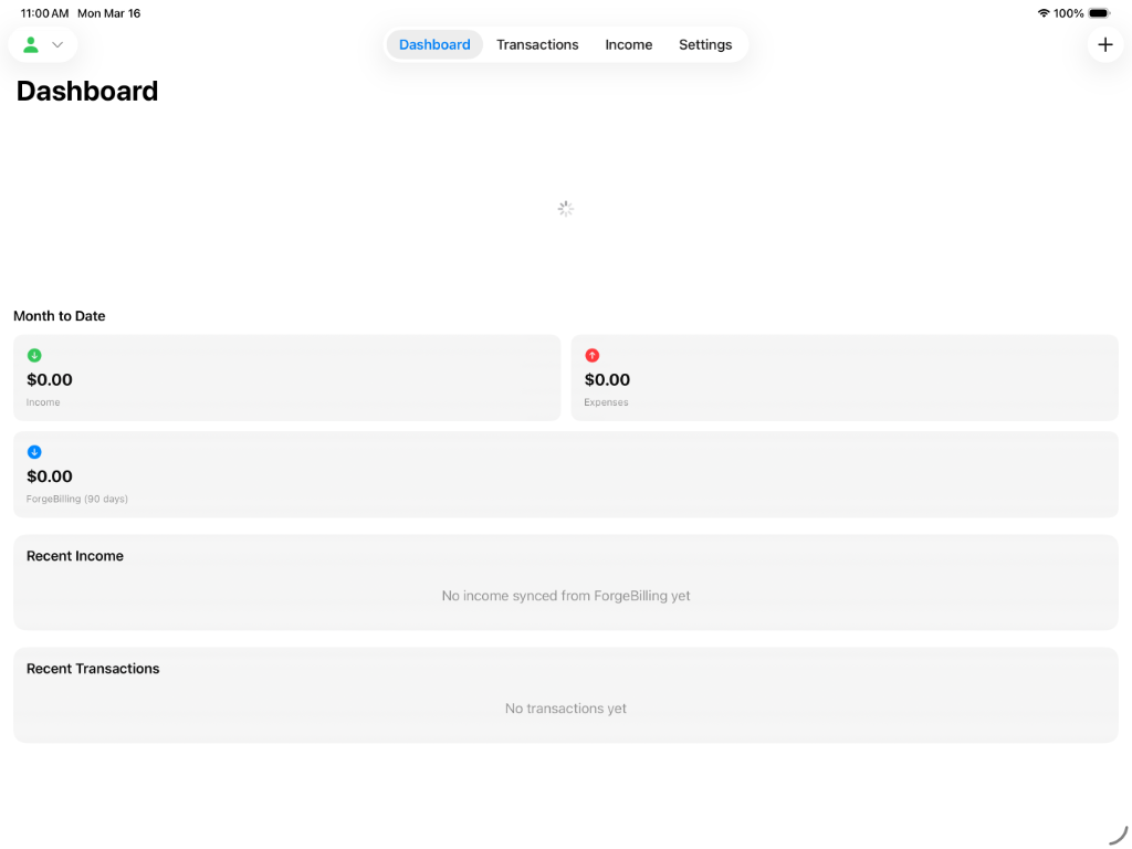 ForgeFinancials iPad screenshot 2