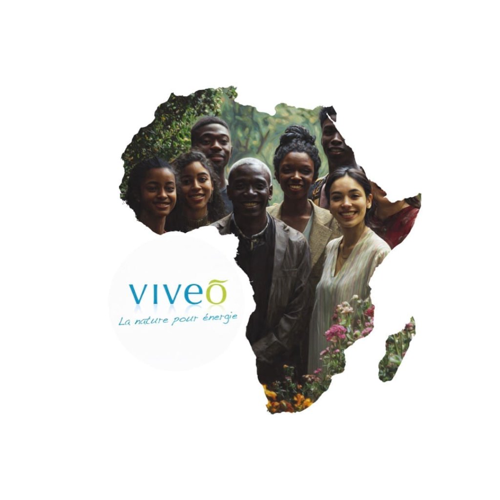 Logo Viveo