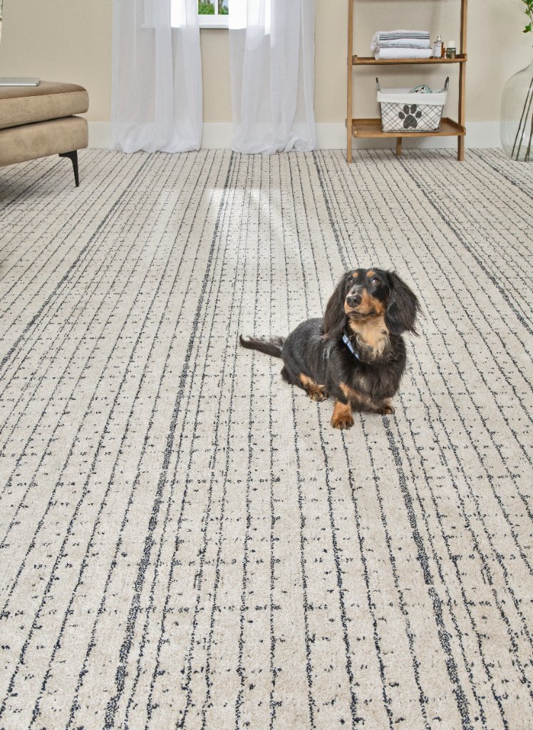 Bedroom Carpet — Flooring Master Tampa Orlando FL
