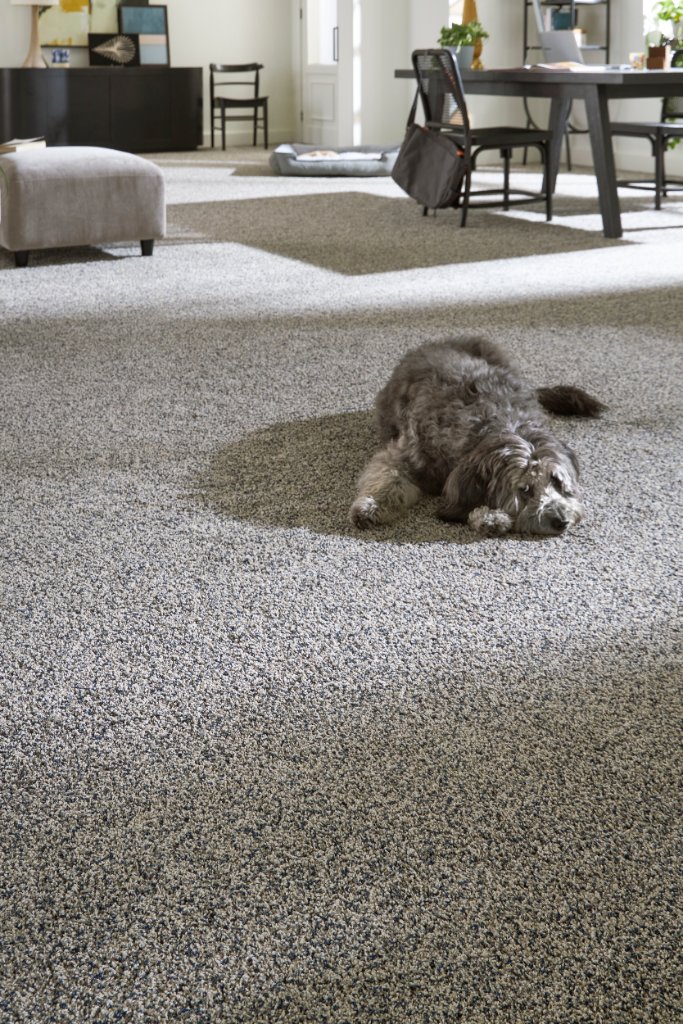 Frieze Carpet — Flooring Master Tampa Orlando FL