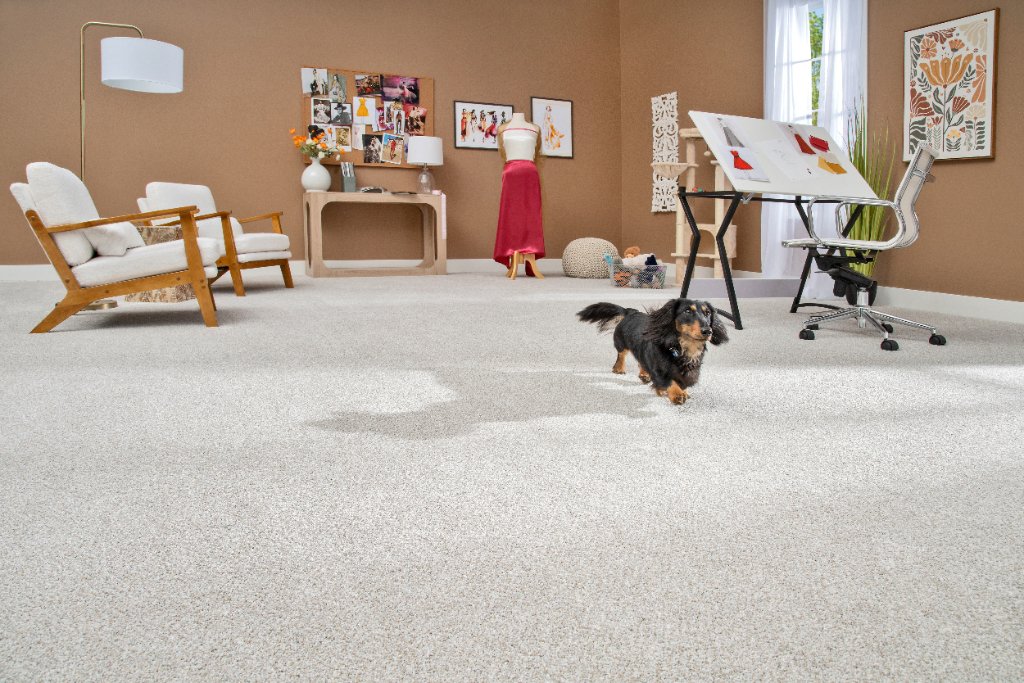 Craft Room Carpet — Flooring Master Tampa Orlando FL