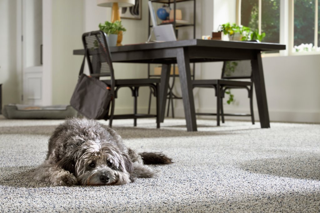 Frieze Home Office — Flooring Master Tampa Orlando FL