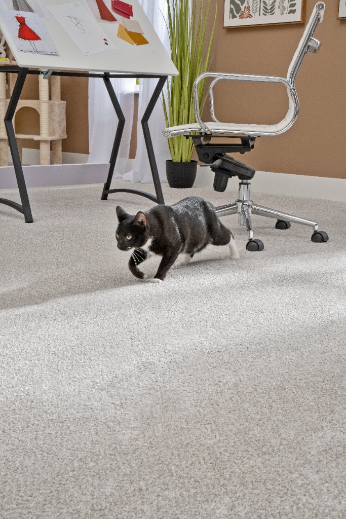Home Office Carpet — Flooring Master Tampa Orlando FL