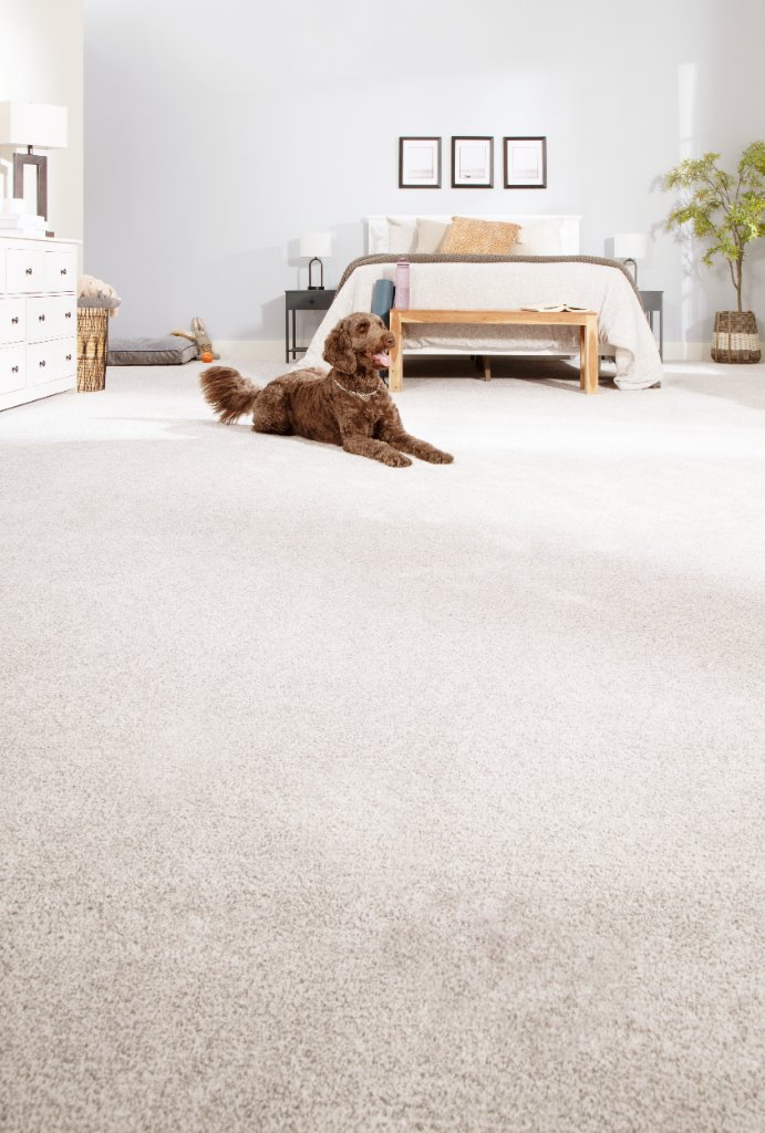 Cozy Bedroom — Flooring Master Tampa Orlando FL
