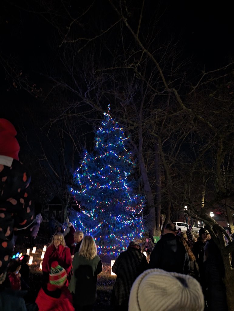 Christmas tree lighting ceremony
