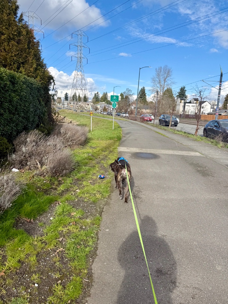 Trail walks