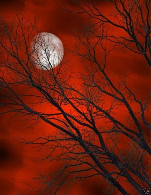 Lune en Bélier 2