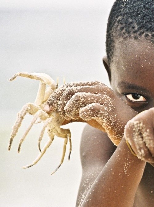 Scorpion Ascendant Cancer