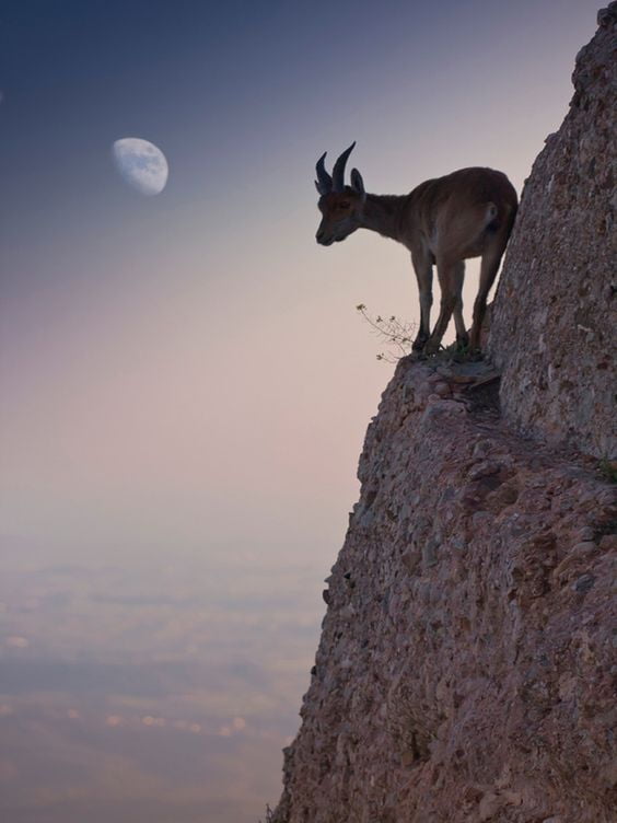 Lune en Capricorne 1