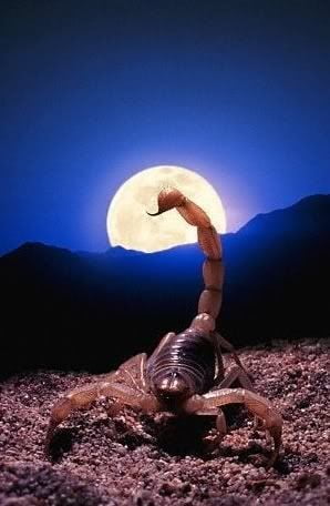 Lune en Scorpion 1