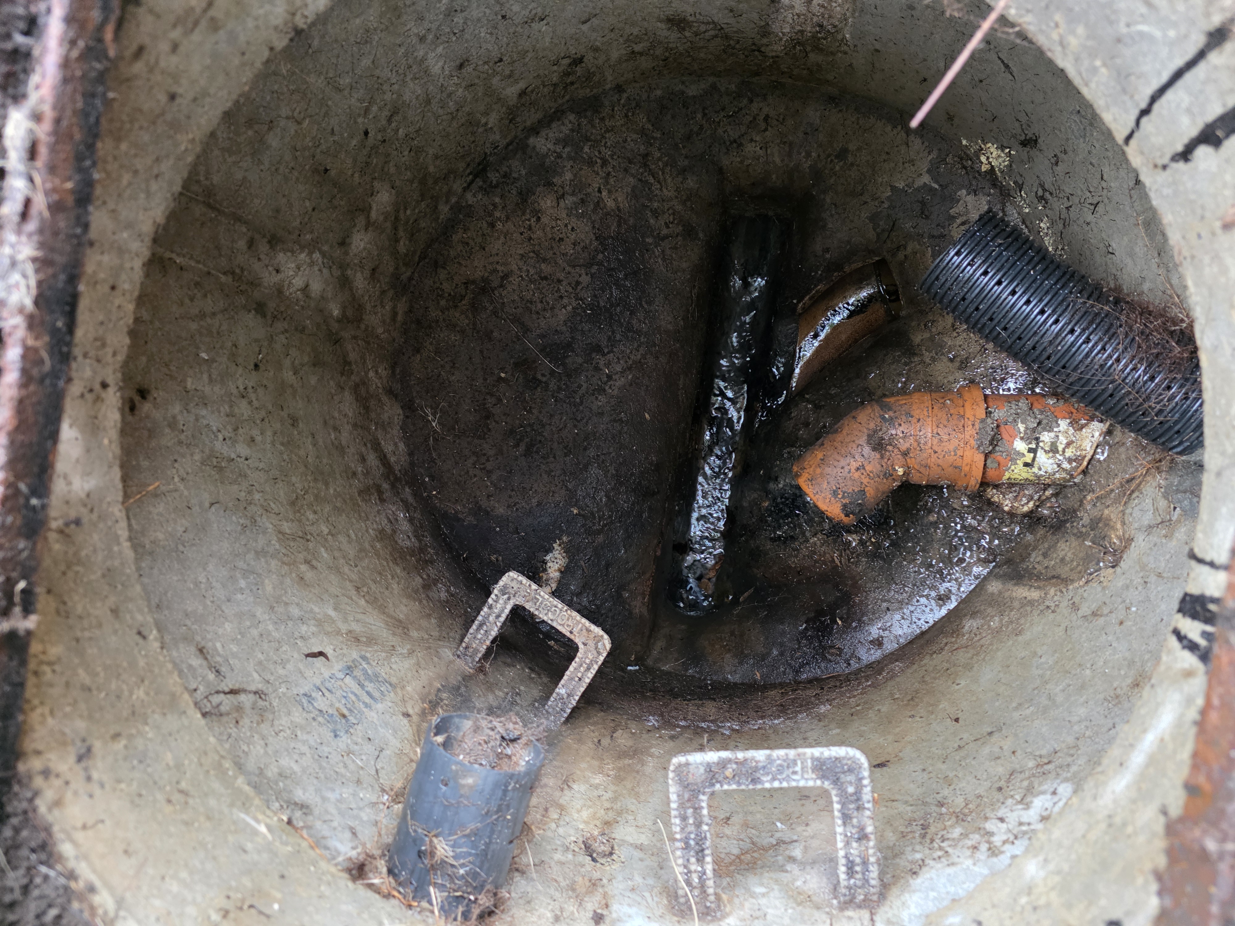 Roots Removed and Chamber Cleaned — After