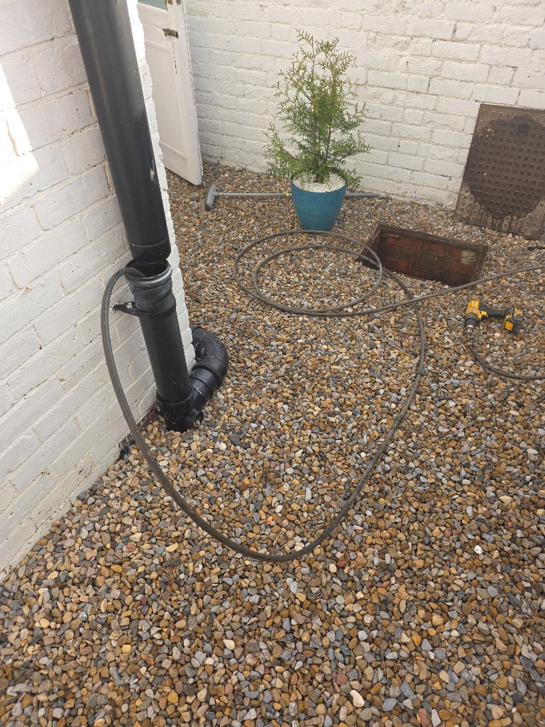 Root removal — established willow tree