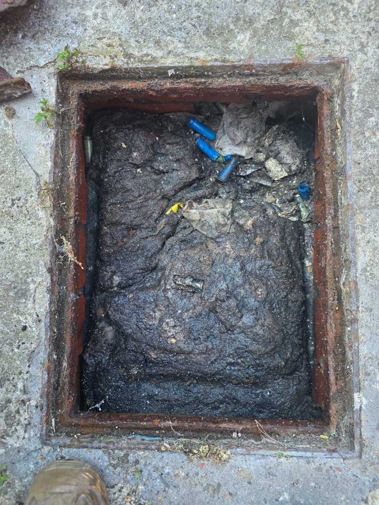 Blocked inspection chamber cleared