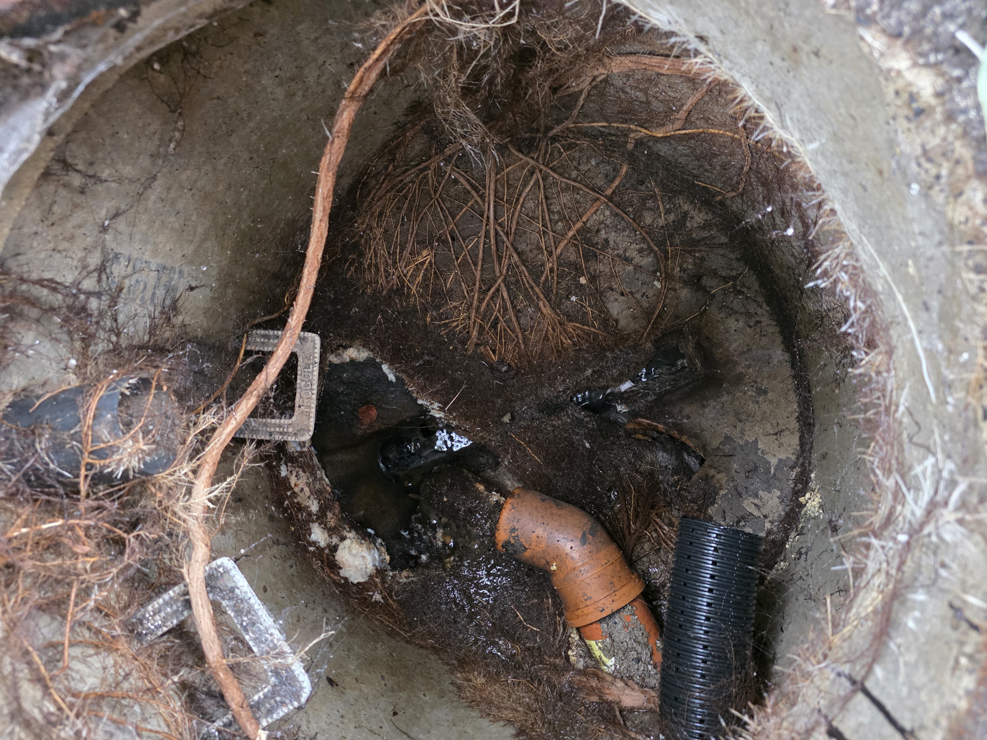 Root Ingress in Manhole Chamber — Before