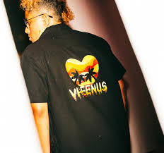 Vheenus Collection