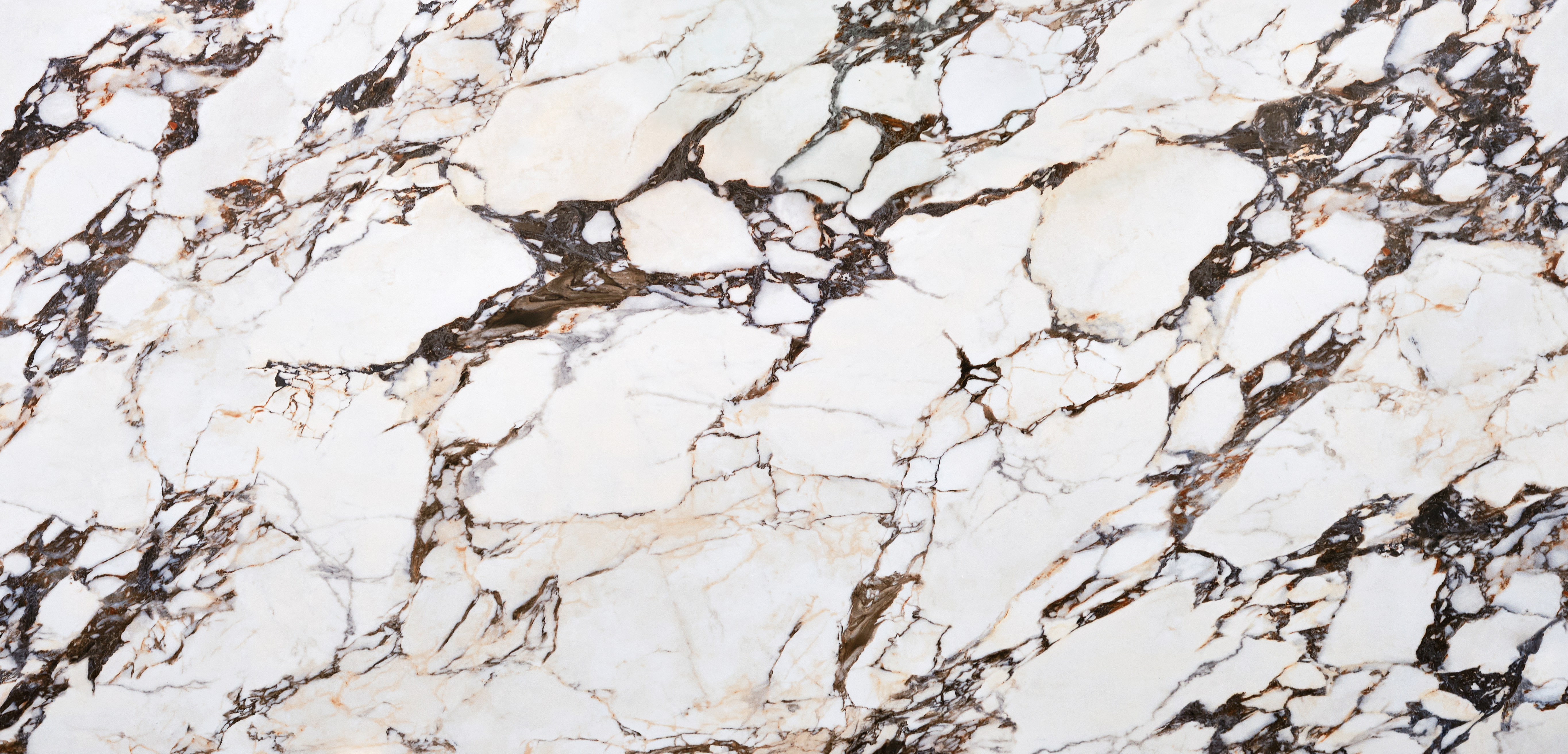 Textura Potenza Calacatta Viola — Potenza